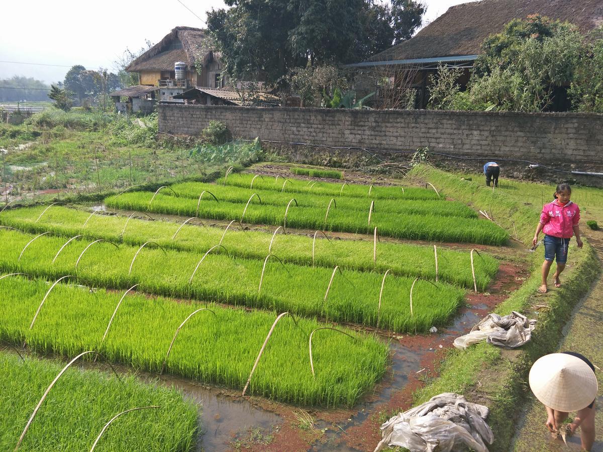 Ngan Ha Homestay Ha Giang Exterior foto